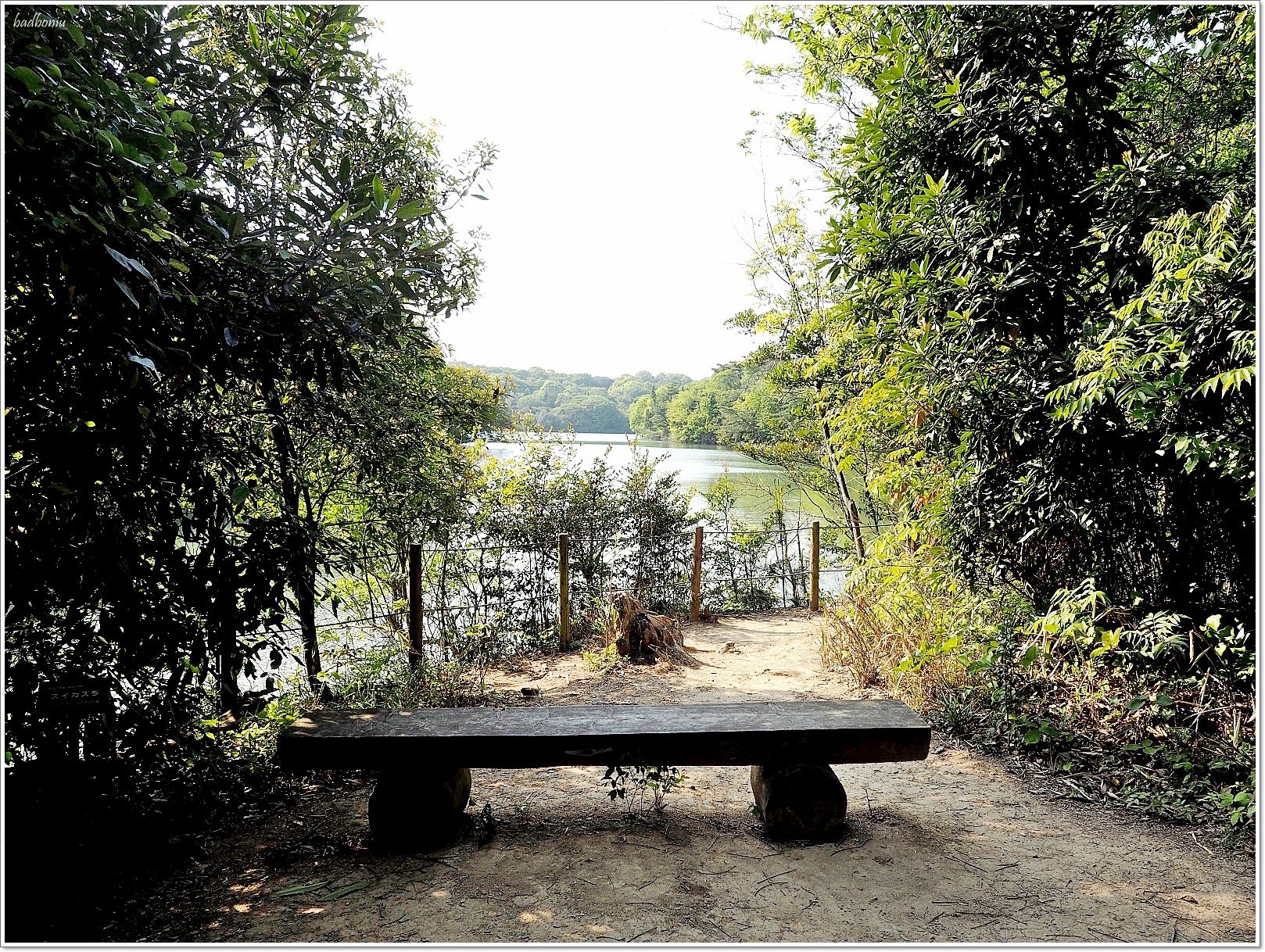 nikitarh,九州 魔法森林,博多景點,水中巨大落羽松,水中落羽松,福岡 魔法森林,福岡景點,福岡祕境,筱栗九大の森,篠栗九大の森 @壞波妞の旅行食踨