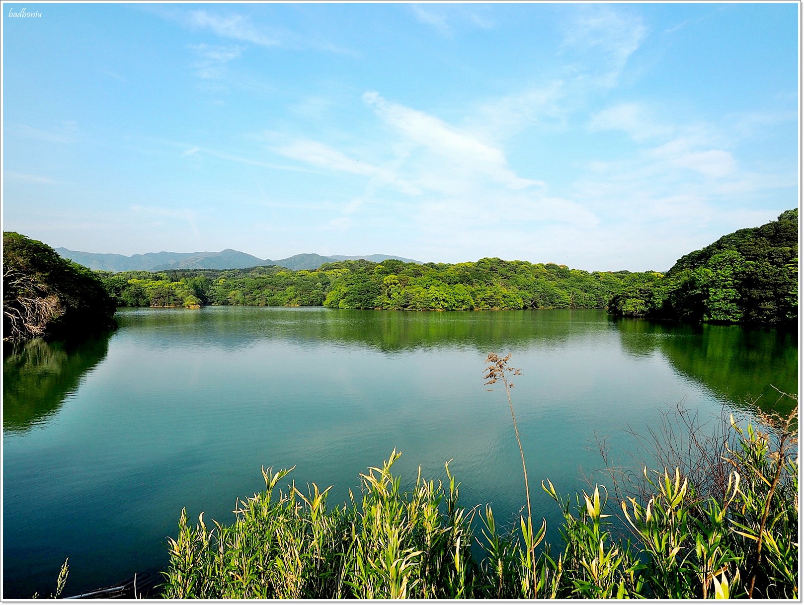 nikitarh,九州 魔法森林,博多景點,水中巨大落羽松,水中落羽松,福岡 魔法森林,福岡景點,福岡祕境,筱栗九大の森,篠栗九大の森 @壞波妞の旅行食踨