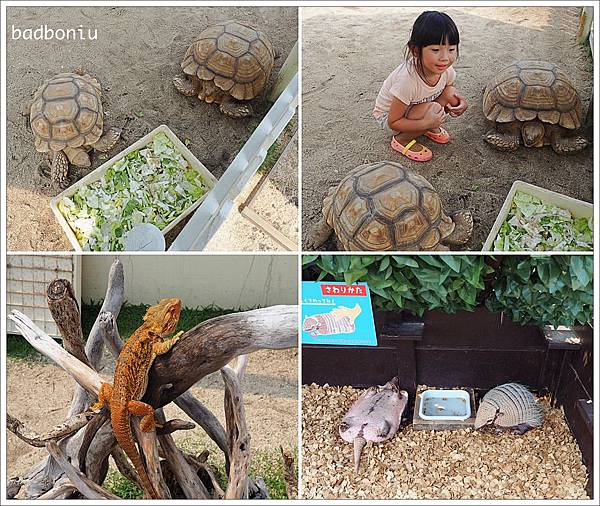 うみたまご,九州猴子公園,九州自由行 親子,九州自駕,九州自駕景點,九州親子景點,大分景點,大分水族館,大分海卵水族館,大分海洋之卵水族館,大分海蛋水族館,大分親子景點,日本大分水族館,高崎山動物園,高崎山猴子園 @壞波妞の旅行食踨 うみたまご,九州猴子公園,九州自由行 親子,九州自駕,九州自駕景點,九州親子景點,大分景點,大分水族館,大分海卵水族館,大分海洋之卵水族館,大分海蛋水族館,大分親子景點,日本大分水族館,高崎山動物園,高崎山猴子園 @壞波妞の旅行食踨