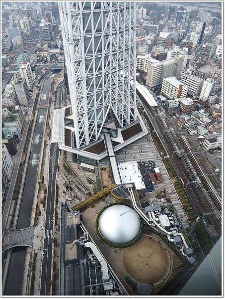 kkday午餐,kkday晴空塔,kkday東京行程,kkday法式午餐,晴空塔30樓餐廳,晴空塔tembo deck,晴空塔午餐,晴空塔天望品廊 @壞波妞の旅行食踨