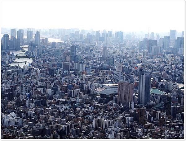 kkday午餐,kkday晴空塔,kkday東京行程,kkday法式午餐,晴空塔30樓餐廳,晴空塔tembo deck,晴空塔午餐,晴空塔天望品廊 @壞波妞の旅行食踨