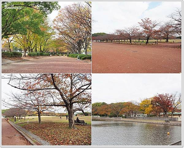 expocity交通方式,半澤直樹 大阪場景,大阪 万博紀念公園,大阪 万博記念公園,大阪 櫻花,大阪 紅葉,大阪溜小孩,大阪紅葉名所,大阪親子景點,大阪賞楓名所,大阪賞櫻名所,萬博紀念公園 @壞波妞の旅行食踨
