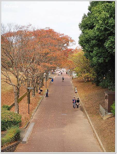 expocity交通方式,半澤直樹 大阪場景,大阪 万博紀念公園,大阪 万博記念公園,大阪 櫻花,大阪 紅葉,大阪溜小孩,大阪紅葉名所,大阪親子景點,大阪賞楓名所,大阪賞櫻名所,萬博紀念公園 @壞波妞の旅行食踨