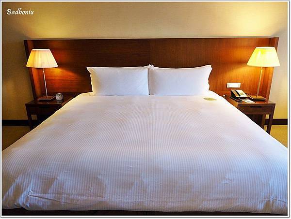 nikitarh,regent taipei hotel,台北 中山區 住宿推薦,台北 中山站 住宿,台北 泳池 飯店,台北住宿推薦,台北捷運站 住宿,台北晶華酒店 @壞波妞の旅行食踨