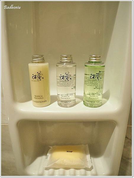 nikitarh,regent taipei hotel,台北 中山區 住宿推薦,台北 中山站 住宿,台北 泳池 飯店,台北住宿推薦,台北捷運站 住宿,台北晶華酒店 @壞波妞の旅行食踨