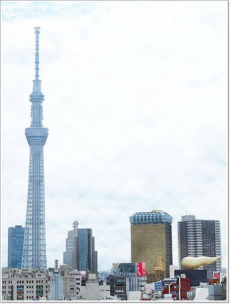 red planet,red planet asakusa,redplanet hotel淺草,tokyo,レッドプラネット,レッドプラネット　浅草　東京,可以看到天空樹的飯店,東京住宿推薦,東京淺草紅色星球酒店,東京自由行飯店,東京親子行,淺草住宿推薦,看得到skytree的飯店,看得到晴空塔的飯店 @壞波妞の旅行食踨