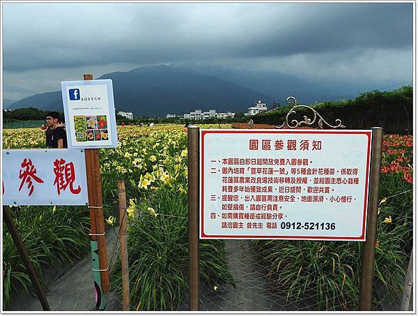 吉安 景點推薦,吉安金針花,平地金針花,花蓮吉安五色金針花海,花蓮景點,花蓮景點推薦,花蓮親子景點,花蓮金針花 @壞波妞の旅行食踨