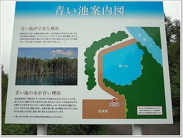 富良野景點,富良野觀光,白金溫泉,美瑛景點,美瑛觀光,青い池 @壞波妞の旅行食踨