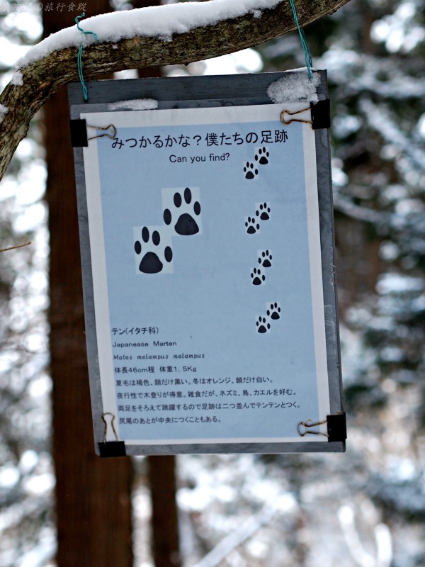 日本猴子泡溫泉,看猿子泡溫泉怎麼去,長野景點,雪猿公苑交通 @壞波妞の旅行食踨