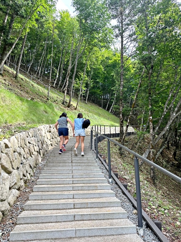 富士山露台 交通,富士山露台 停車場,富士山露台 接駁車,富士山露台 票價,拍富士山的祕境,河口湖祕境,鳥瞰富士山 @壞波妞の旅行食踨