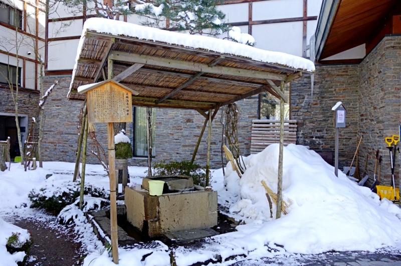 日本猴子泡溫泉,看猿子泡溫泉怎麼去,長野景點,雪猿公苑交通 @壞波妞の旅行食踨