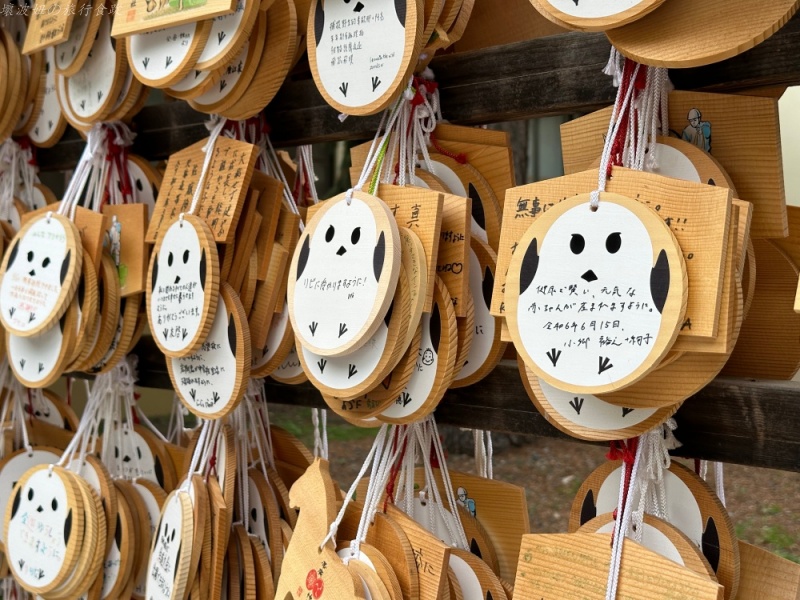 帶廣住宿,帶廣景點,帶廣神社,花月水,道南景點,雪之妖精神社 @壞波妞の旅行食踨