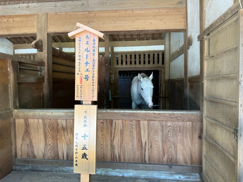 金刀比羅宮 停車,金刀比羅宮 奧社,金刀比羅宮 導航,金刀比羅宮 必買御守,金刀比羅宮 樓梯數,金刀比羅宮 階數 @壞波妞の旅行食踨
