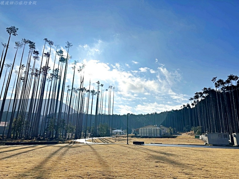 伊豆午餐推薦,伊豆海鮮,伊豆美食擁醓,伊豆金目鯛,大室山住宿,大室山美食,大室山順遊,日本豪華露營 @壞波妞の旅行食踨