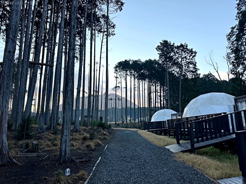 伊豆午餐推薦,伊豆海鮮,伊豆美食擁醓,伊豆金目鯛,大室山住宿,大室山美食,大室山順遊,日本豪華露營 @壞波妞の旅行食踨