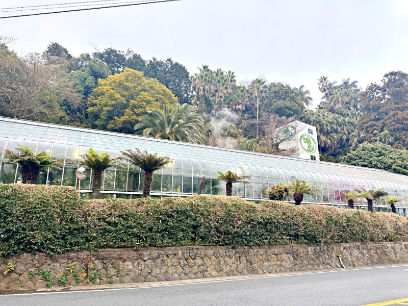 伊豆景點推薦,伊豆親子景點,熱川動物園,熱川景點 @壞波妞の旅行食踨 伊豆景點推薦,伊豆親子景點,熱川動物園,熱川景點 @壞波妞の旅行食踨