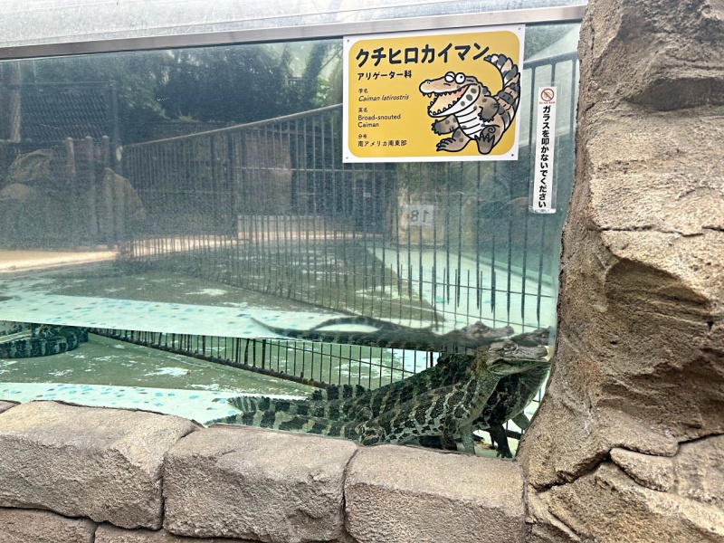 伊豆景點推薦,伊豆親子景點,熱川動物園,熱川景點 @壞波妞の旅行食踨 伊豆景點推薦,伊豆親子景點,熱川動物園,熱川景點 @壞波妞の旅行食踨