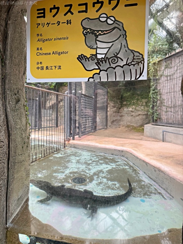 伊豆景點推薦,伊豆親子景點,熱川動物園,熱川景點 @壞波妞の旅行食踨 伊豆景點推薦,伊豆親子景點,熱川動物園,熱川景點 @壞波妞の旅行食踨