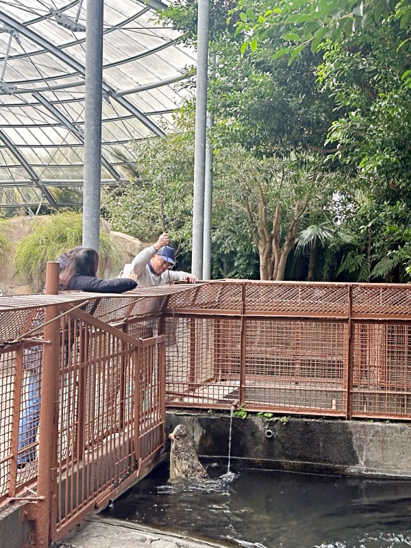 伊豆景點推薦,伊豆親子景點,熱川動物園,熱川景點 @壞波妞の旅行食踨 伊豆景點推薦,伊豆親子景點,熱川動物園,熱川景點 @壞波妞の旅行食踨
