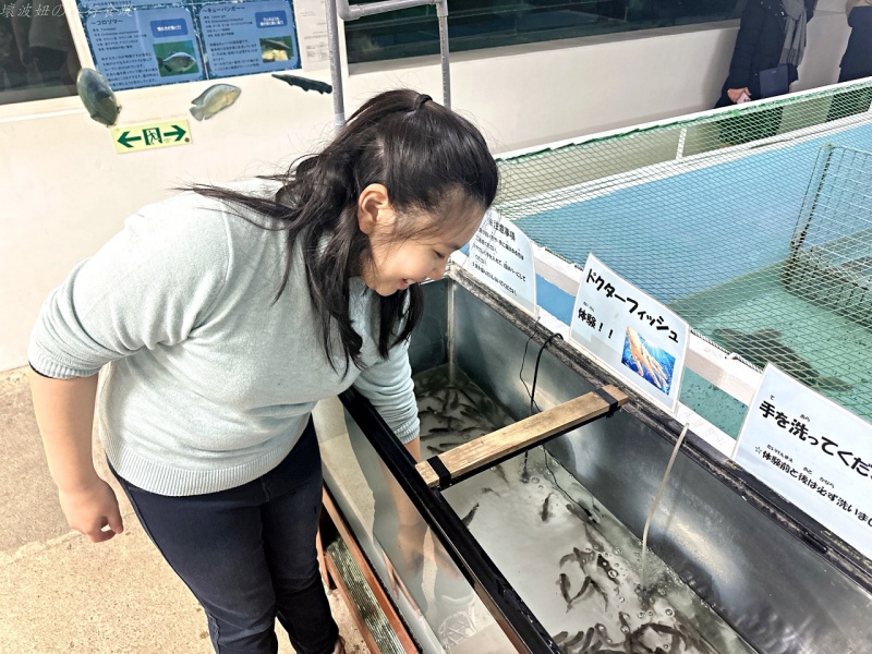 伊豆景點推薦,伊豆親子景點,熱川動物園,熱川景點 @壞波妞の旅行食踨 伊豆景點推薦,伊豆親子景點,熱川動物園,熱川景點 @壞波妞の旅行食踨