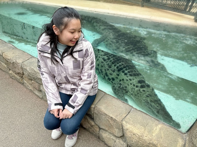伊豆景點推薦,伊豆親子景點,熱川動物園,熱川景點 @壞波妞の旅行食踨 伊豆景點推薦,伊豆親子景點,熱川動物園,熱川景點 @壞波妞の旅行食踨