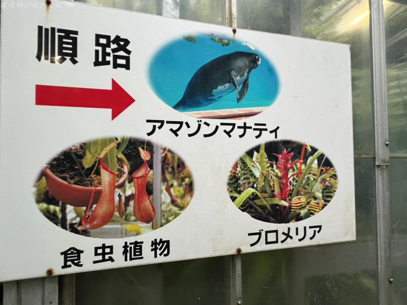 伊豆景點推薦,伊豆親子景點,熱川動物園,熱川景點 @壞波妞の旅行食踨 伊豆景點推薦,伊豆親子景點,熱川動物園,熱川景點 @壞波妞の旅行食踨