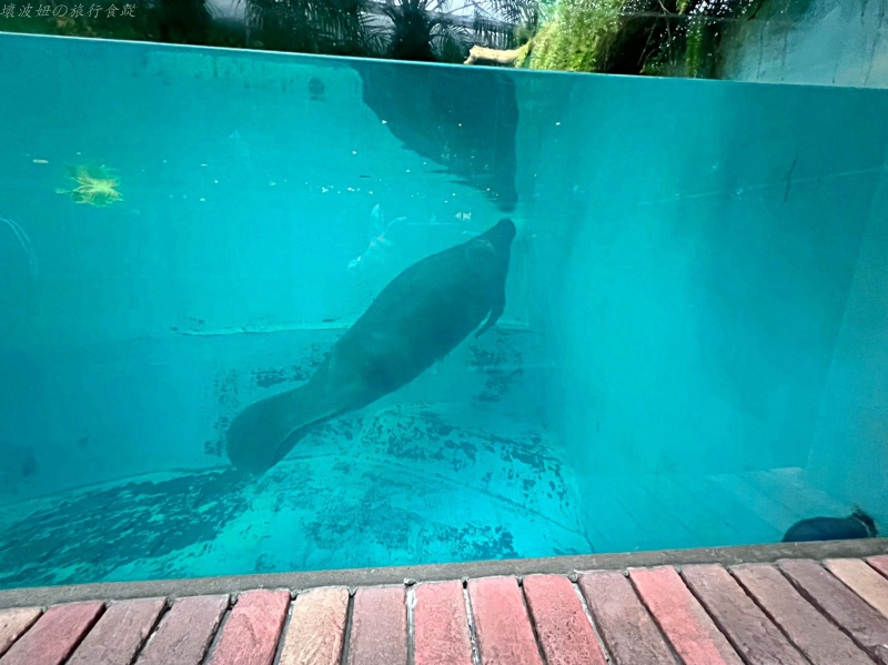 伊豆景點推薦,伊豆親子景點,熱川動物園,熱川景點 @壞波妞の旅行食踨 伊豆景點推薦,伊豆親子景點,熱川動物園,熱川景點 @壞波妞の旅行食踨