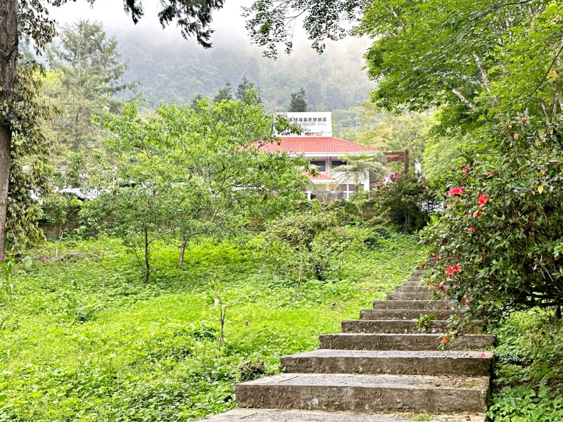 南投住宿推薦,溪頭住宿推薦,溪頭家庭房推薦,溪頭福華房型,溪頭福華早餐,溪頭福華晚餐,溪頭福華評價,看螢火蟲飯店推薦,賞螢推薦 @壞波妞の旅行食踨 南投住宿推薦,溪頭住宿推薦,溪頭家庭房推薦,溪頭福華房型,溪頭福華早餐,溪頭福華晚餐,溪頭福華評價,看螢火蟲飯店推薦,賞螢推薦 @壞波妞の旅行食踨