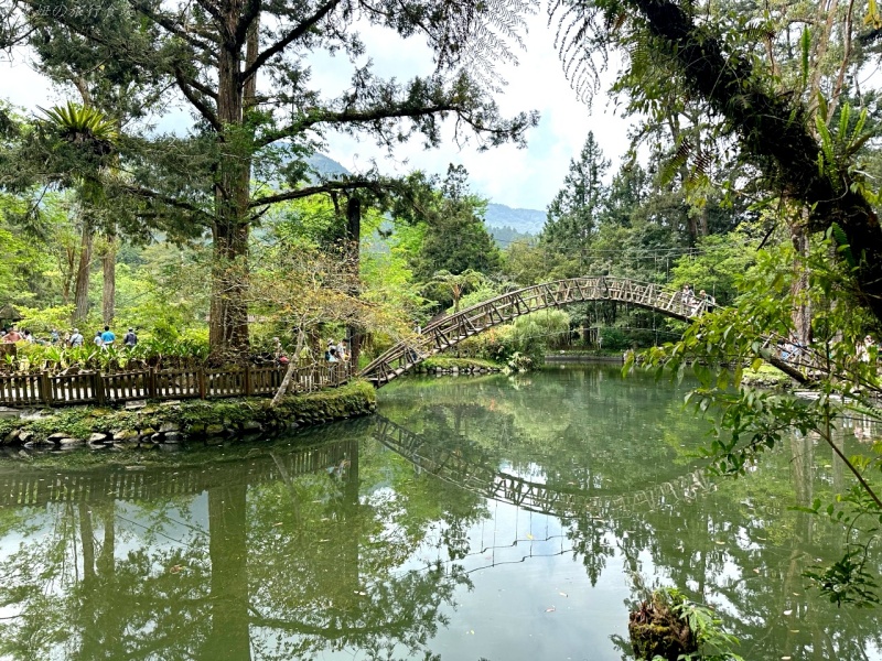 南投住宿推薦,溪頭住宿推薦,溪頭家庭房推薦,溪頭福華房型,溪頭福華早餐,溪頭福華晚餐,溪頭福華評價,看螢火蟲飯店推薦,賞螢推薦 @壞波妞の旅行食踨 南投住宿推薦,溪頭住宿推薦,溪頭家庭房推薦,溪頭福華房型,溪頭福華早餐,溪頭福華晚餐,溪頭福華評價,看螢火蟲飯店推薦,賞螢推薦 @壞波妞の旅行食踨
