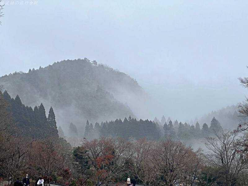勝尾寺交通,勝尾寺御守,勝尾寺營業時間,勝尾寺門票,勝尾寺開放時間,大阪必去景點,大阪賞楓景點,大阪達摩寺,很多達摩的寺 @壞波妞の旅行食踨 勝尾寺交通,勝尾寺御守,勝尾寺營業時間,勝尾寺門票,勝尾寺開放時間,大阪必去景點,大阪賞楓景點,大阪達摩寺,很多達摩的寺 @壞波妞の旅行食踨