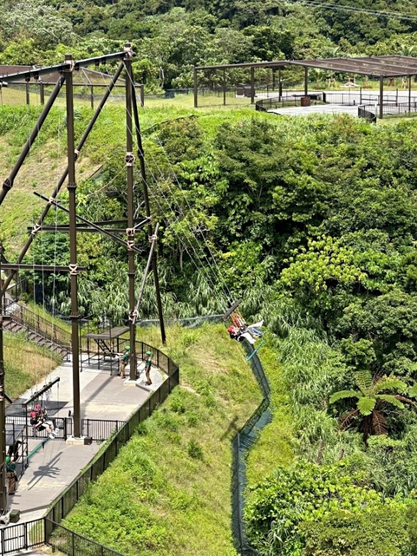 沖繩 jnglia 停車場,沖繩jnglia 優惠,沖繩jnglia 快速通關,沖繩jnglia 接駁車,沖繩jnglia 攻略,沖繩jnglia 門票,沖繩JUNGLIA,沖繩新樂園 @壞波妞の旅行食踨