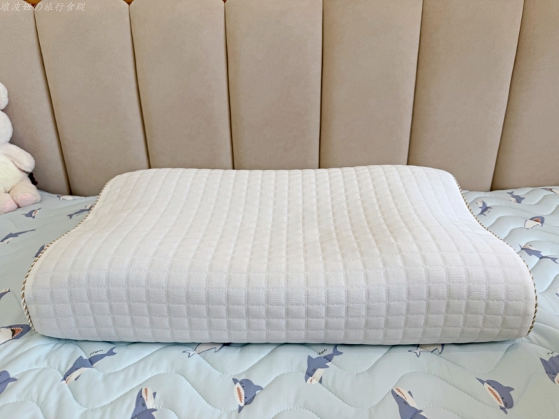 好睡的記憶枕推薦,眠朵雲枕頭好睡嗎,眠朵雲枕頭評價,試合淺眠的枕頭,適合愛翻身的枕頭,適合軟床的枕頭 @壞波妞の旅行食踨