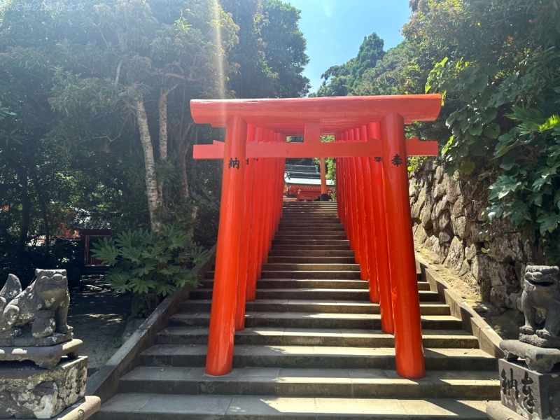 九州海邊神社,宮崎海邊神社,鵜戶神宮交通,鵜戶神宮停車,鵜戶神宮傳說,鵜戶神宮兔子神社,鵜戶神宮公車,鵜戶神宮門票,鵜戶神宮順遊 @壞波妞の旅行食踨 九州海邊神社,宮崎海邊神社,鵜戶神宮交通,鵜戶神宮停車,鵜戶神宮傳說,鵜戶神宮兔子神社,鵜戶神宮公車,鵜戶神宮門票,鵜戶神宮順遊 @壞波妞の旅行食踨