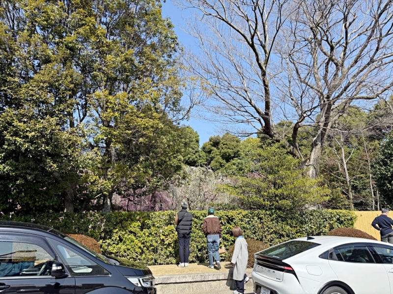 2月京都景點,京都賞梅,京都賞梅時間,城南宮交通,竹田城南宮 @壞波妞の旅行食踨 2月京都景點,京都賞梅,京都賞梅時間,城南宮交通,竹田城南宮 @壞波妞の旅行食踨